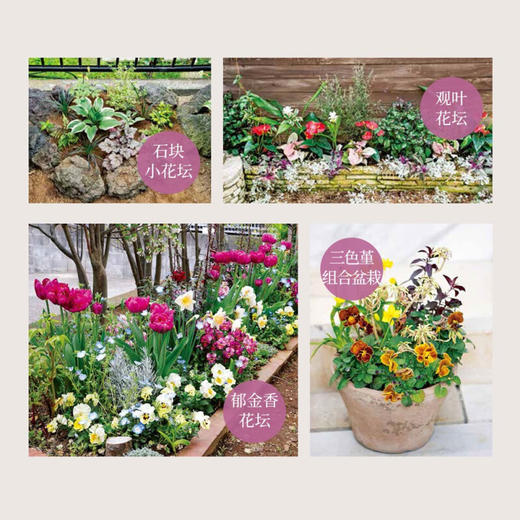 第一次打造花园就成功 花坛小景与组合盆栽 井上真由美 著 家居 商品图3