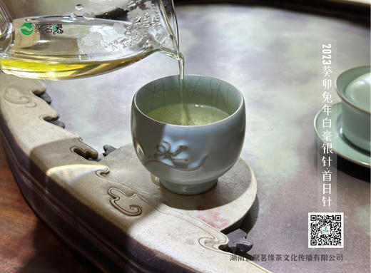 福鼎白茶｜传家宝·白毫银针（2023葵卯兔年开园首日针）老树银针，珍稀品质，芽头肥壮，白毫满披，毫香蜜韵，自然清新，香清甘甜，享有杯中“美人”，茶中“女王”之美誉，宜藏宜品宜礼宜传家，净含量：500g 商品图7