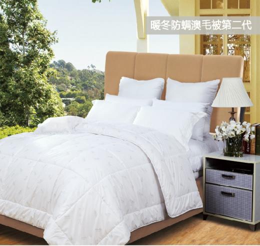 【团购展示】富安娜羊毛被-暖冬澳毛被二代 商品图0