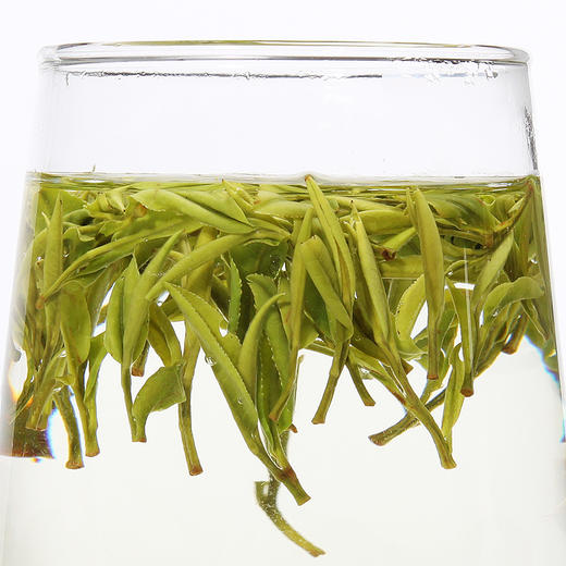 茶林场黄山 【毛峰雨前一级】  100g/罐 商品图2