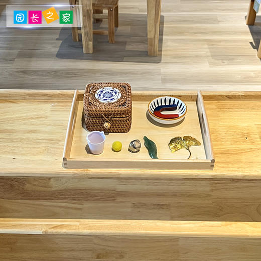AMI教具 磁铁 商品图3