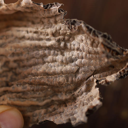 【干货精选】云南香格里拉羊肚菌 头茬新货 带柄精品 山林中的黑精灵 鲜香丰腴 脆嫩爽滑 煲汤干货 不会厨艺也能熬出一锅好汤 商品图5