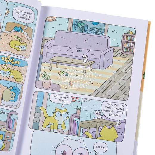 预售 【中商原版】Housecat Trouble 2 桥梁漫画 家猫的烦恼2 英文原版小初文学 进口图像小说 动物故事漫画图画小说 儿童漫画故事 商品图3