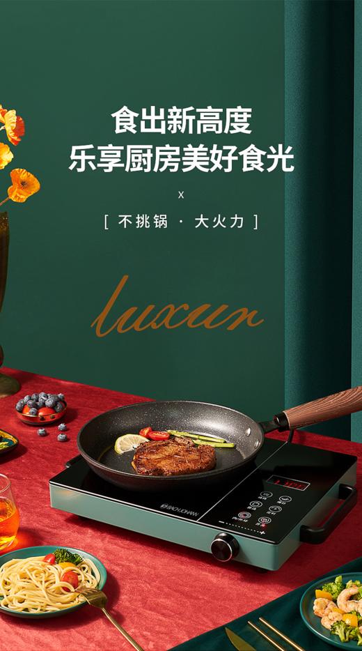 【团购展示】德国巴赫BH-DTL01电陶炉 商品图0