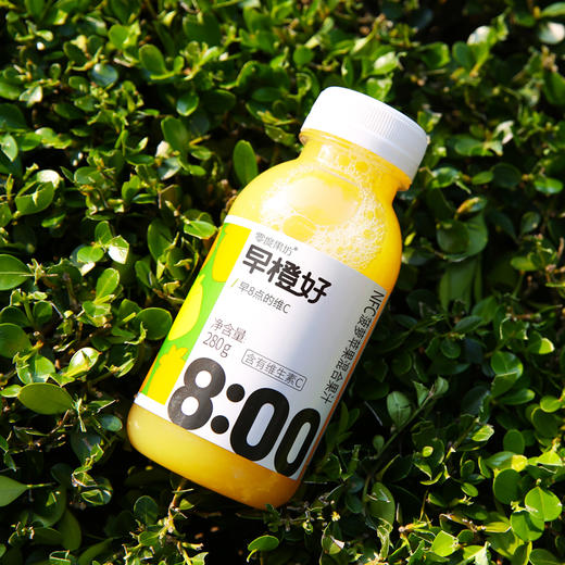 【鱼圈专享】零度果坊早橙好系列～59元到手8瓶，100%纯果汁，不加一滴水！ 商品图4