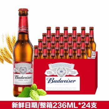 小瓶百威啤酒236ml*24 商品图1