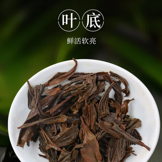 元正红茶书型盒系列武夷红茶馥兰春露红茶40g 商品图3
