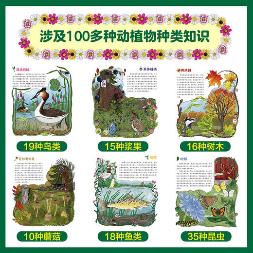 【科普绘本】孩子背包里的大自然（发现系列） 商品图2