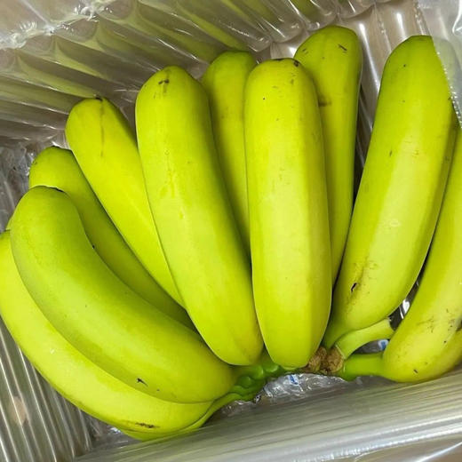 蚂蚁兄弟云南威尼斯香蕉 肉质细腻  香甜软糯  口齿留香 商品图3