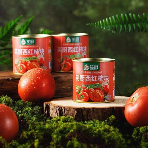 笑厨西红柿块 商品图0