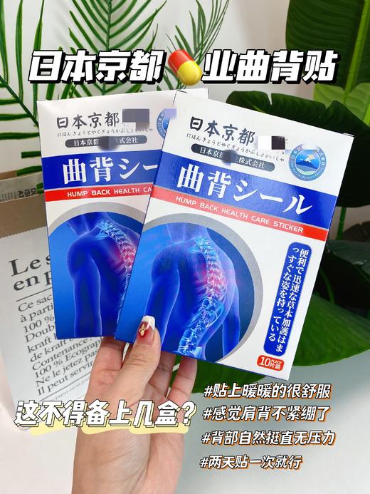 【应季好物】日本京都yao业曲背贴10贴/盒*5盒 商品图1