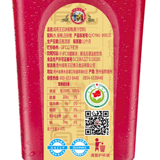 成有王记 冰杨梅汁（冷冻款）380ml*6 商品图4
