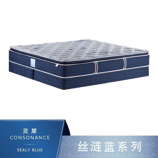 Sealy丝涟床垫 丝涟蓝系列 灵犀 Consonance 商品图0