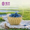 佳沃山地蓝莓18+ 约125g/盒 商品缩略图4