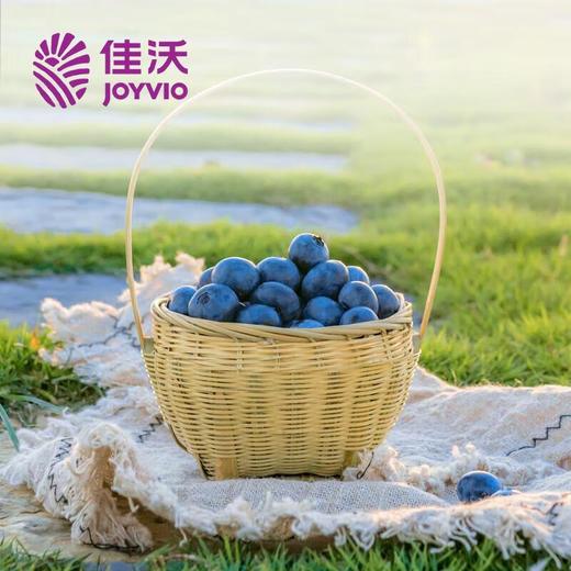 佳沃山地蓝莓18+ 约125g/盒 商品图4