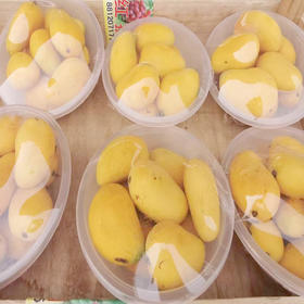 【13.9元/盆】小台芒盆装毛2斤（1500937）