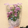 那些花儿 紫色 商品缩略图1