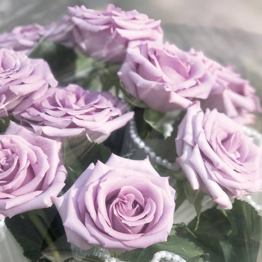 共占春风 商品图3