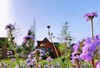5.30/5.30/6.1【蒲江花涧和鸣蓝莓谷】亲子一日营：丛林冒险家+一日趣玩两大主题：吃自助烧烤；小鸟神射手、水果缤纷连连看、鸭鸭圈套大作战；尖叫秋千、丛林攀树、悬崖坡降、老树溜索、竹林迷踪…… 商品缩略图10