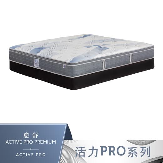 Sealy丝涟床垫 活力加 愈舒 商品图0