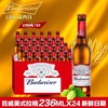 小瓶百威啤酒236ml*24 商品缩略图0