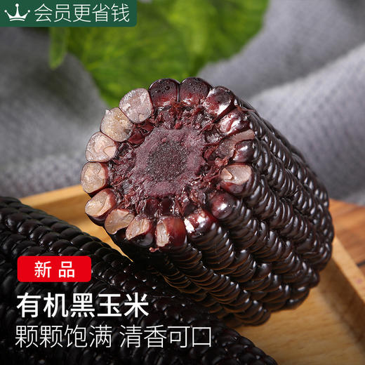 【有机黑玉米】6/8/10支装 软糯香甜 有机基地种植 商品图2