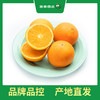 PAGODA百果园 秭归脐橙（伦晚）5斤精品礼盒装（大，单果径75mm-85mm） 商品缩略图5