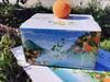 PAGODA百果园 秭归脐橙（伦晚）5斤彩箱装（中，单果径65mm-75mm） 商品缩略图0