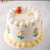 蛋糕6寸DIY（非储值会员） 商品缩略图12