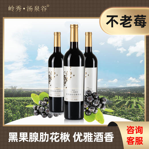 岭秀·汤泉谷2019不老莓酒（礼盒装750mL*2） 商品图3
