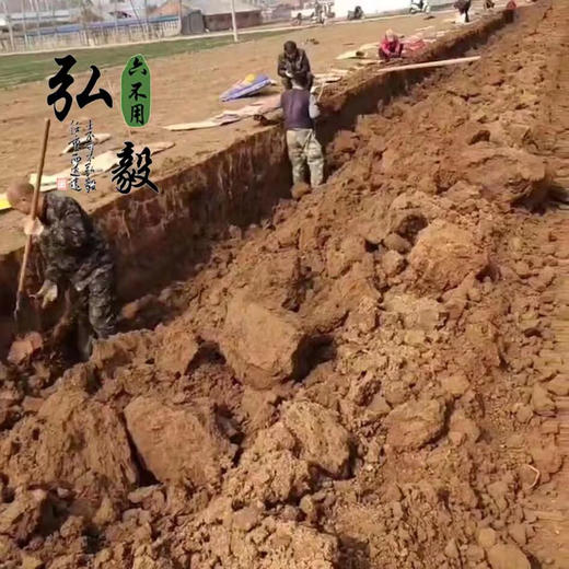 【弘毅六不用生态农场】六不用山药片（去皮）怀山药片 商品图4