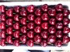 大连瓦房店美早樱桃 1KG （单果15g+）Dalian Large Cherries 1KG 商品缩略图2