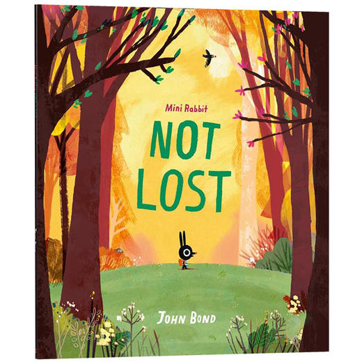 Collins柯林斯 小兔子没有迷路 英文原版 Mini Rabbit Not Lost 儿童英语启蒙故事绘本 英语阅读 英文版进口 全彩插图大开本 John Bond 商品图1