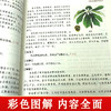 【9.9元包邮】正版速发 彩色图解伤寒论中医养生书籍大全医学全书 中医知识自学入门零基础学YN 商品缩略图2