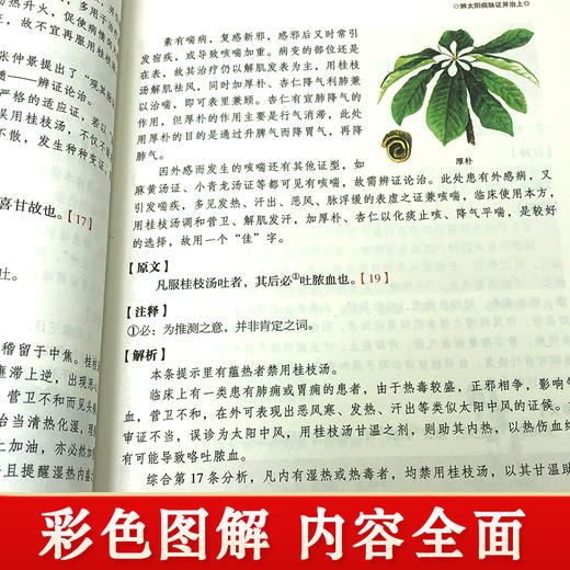 【9.9元包邮】正版速发 彩色图解伤寒论中医养生书籍大全医学全书 中医知识自学入门零基础学YN 商品图2