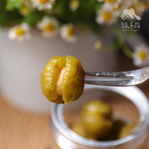 生态脆青梅 （即食，临期8折）| 绿家自产 * Eco-green plum  | Self-production 商品图0