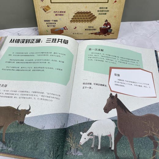 了不起的数学思维(中国篇) 商品图3