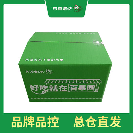 PAGODA百果园 B级-沙漠蜜瓜2粒装（净重约6斤） 商品图0