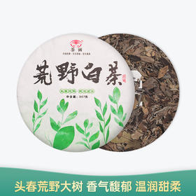 【会员日直播】荒野白茶 2023年云南白茶 荼画 357g/饼 买一送一 买三送四