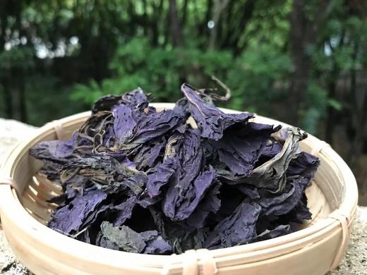 荷叶干品 紫苏叶干品 双面紫苏叶 生晒 日晒 商品图2