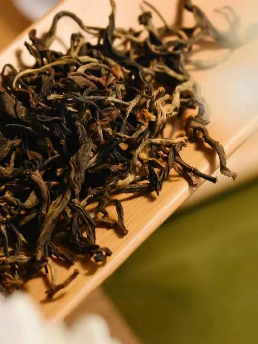 2023年头春翁达/古树晒红 浪漫包容的红茶 商品图11