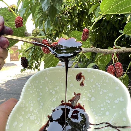 攀枝花原味桑葚膏，原汁熬制，零添加，口感醇正 商品图4