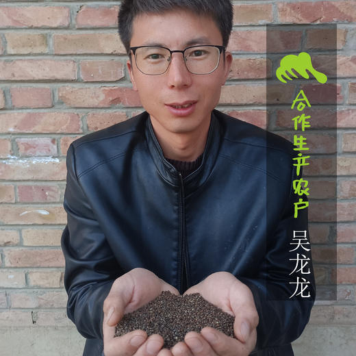 生态紫苏籽|合作生产*Eco-Perilla Seed | Coproduct 商品图1
