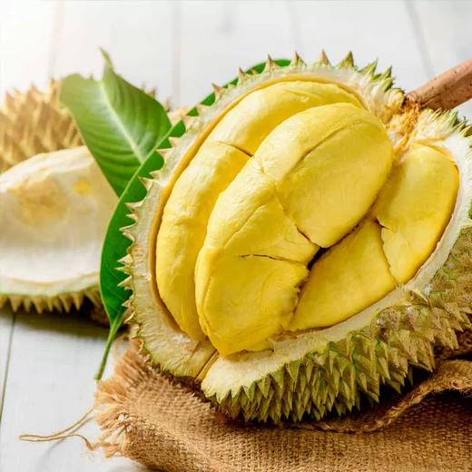 金猴金枕巴掌榴莲（约1.4kg/个） 商品图0