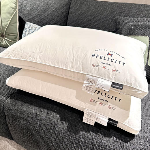 罗莱旗下petit DINOSAUR轻柔羽丝枕 01.25 商品图2