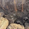【限时团购】焦作垆土铁棍山药片·道地甄选怀山药 | 农户匠心种植 手工太阳晾晒 | 气足清香 商品缩略图1
