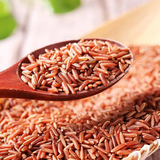 半亩川（BANMUCHUAN） 良田谷韵·丰收 1200g 商品图2