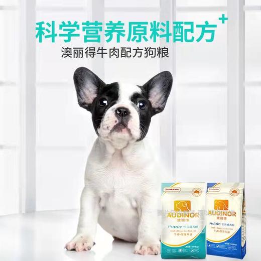 雷米高澳丽得成幼犬粮全价通用狗粮营养牛肉+深海鱼油配方500g/袋 商品图1