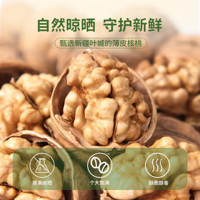 疆果果 薄皮核桃 500g 新疆