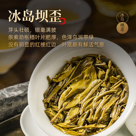 【冰岛古树】茶马世家云南古树冰岛小玉饼紧压生熟普洱茶饼茶84g 商品图5